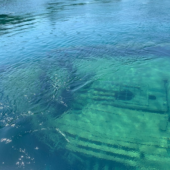 Meet your Posher, Sofia - Picture 1 of 1